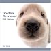 golden retriever - Golden Retriever 2009 Wall 12''x12'' Calendar by THE DOG Artlist Collection