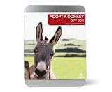 Gift Republic , Adopt A Donkey Gift Box