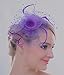 FAYBOX Big Flower Mesh Bow Feather Women Fascinator Dot Veil Hair Clip PUR