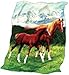 Trot Lesson Horse Fleece Throw Blanket
