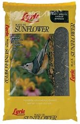 Lyric Black Oil Sunflower