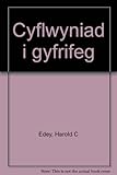 Cyflwyniad i gyfrifeg