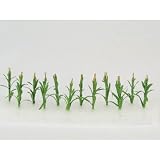 Architectural Model Corn Stalk (Set of 12)
