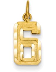 14ky Casted Small Diamond Cut Number 6 Charm