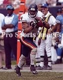 Brendon Ayanbadejo Chicago Bears 8x10 Photo