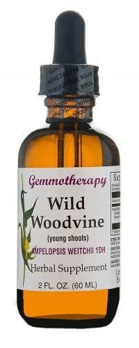 Gemmotherapy Wild Woodvine (Ampelopsis Weitchi) 1DH Boiron