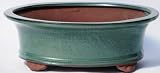 BuyBonsai's Bonsai Pot 10 Oval Footed Green