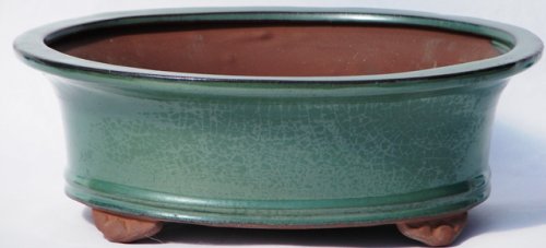 BuyBonsai's Bonsai Pot 6 Oval Footed Green