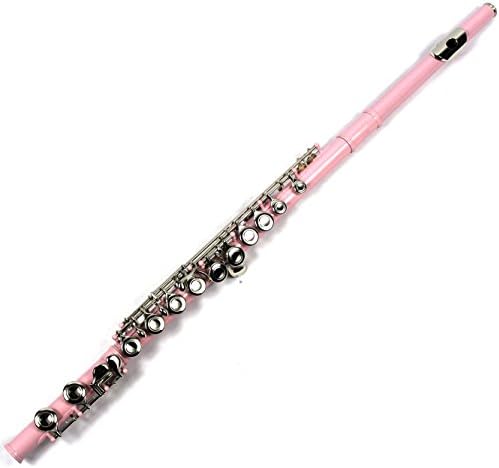 Engraved Design Italian Pads 16 Keys Close Hole C Flute Pink Color