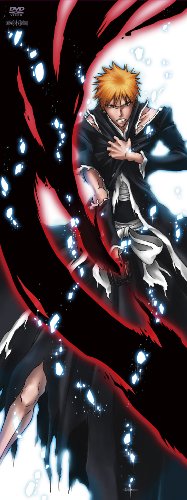Cover image : 劇場版 BLEACH Fade to Black 君の名を呼ぶ(完全生産限定版) [DVD]