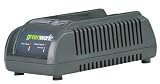 Greenworks 29247 Charger for 20-Volt 2.6/6 Amp Hour Lithium Ion Batteries