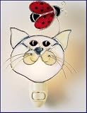 Cat and Ladybug