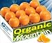 Gourmet Fruit Gift Basket - Orchard Fresh Oranges