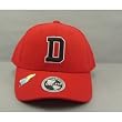 Davidson Team Color One-Fit Hat