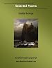 Selected Poems: Easyread Super Large 24pt Edition
