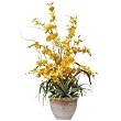 Dancing Lady Silk Orchid Arrangement