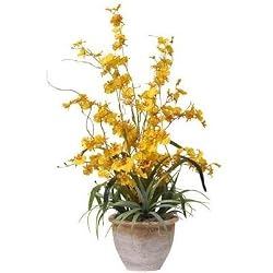 Dancing Lady Silk Orchid Arrangement