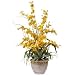Dancing Lady Silk Orchid Arrangement