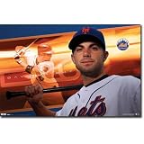 New York Mets Poster 22.5x34 Dave Wright Baseball 4889