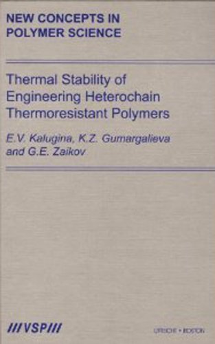 Thermal Stability of Engineering Heterochain Thermoresistant Polymers (New Concepts in Polymer Science)