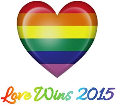 Love Wins 2015 Novelty Commemorative Limited Edition Champagne Glasses Gay Rights Rainbow Flutes (6)