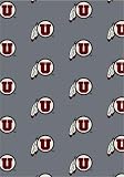 Milliken Grey Utah Utes 10' 9 x 13' 2 Area Rug