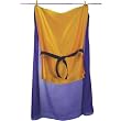 Sarah's Silks Gold Knight Costume