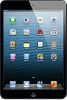 Apple iPad Mini Wi-Fi 32GB | Black & Slate