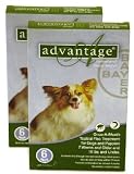 12 MONTH Advantage Flea Control Green: For Dogs under 10lbs.