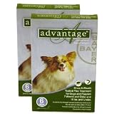 12 MONTH Advantage Flea Control Green: For Dogs under 10lbs.