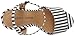 Chinese Laundry Women's Abie Platform Sandal