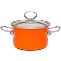 Stock Pot with Glass Lid, Non Toxic Enamel Coating, 22cm, 3.8L/orange/Induction