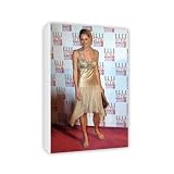 41IvfNvIeQL. SL160  Jenni Falconer   Canvas   Medium   30x45cm