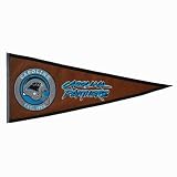 Winning Streak Carolina Panthers Pigskin Banner