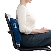 Back Booster Portable Lumbar Support Pillow - Back Booster Portable Lumbar Support Pillow - Pack of 2 - 10011001-2