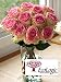 EcoLogic Crown Majesty Roses