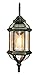 Trans Globe Lighting 4180 BG Outdoor Wentworth 22.25" Wall Lantern, Black Gold