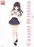 「「女の子と密室にいたら○○しちゃうかもしれない」 もふもふブランケット 秋篠かすみ」の画像