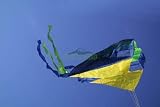 Parafoil Kite