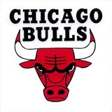 Chicago Bulls Static Cling Sticker