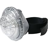 ANT 5O[LEDZ[teBv<R2A-G>(NA) Y9105