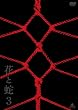 花と蛇3 特別版【DVD】