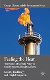 Feeling the heat : the politics of climate policy in rapidly industrializing countries