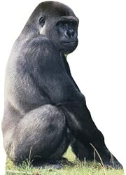 Gorilla Talking Animal Stand-Up