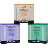 Therapeutic Mineral Bath Salt Trio Sampler Set- 3 pack- 3 oz each