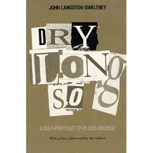 Drylongso: A Self-Portrait of Black America