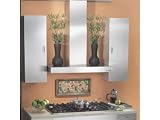 Review Broan  / Broan RM533004 30 Inch, Stainless Steel
