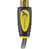 Ethereal S-Video Cable - 1 x mini-DIN S-Video - 1 x mini-DIN S-Video - 13.12ft