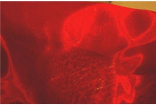 Red Mirror Organza Fabric 58"/60" x 1yd