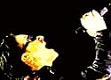 Bono U2 Pop Art Canvas Print